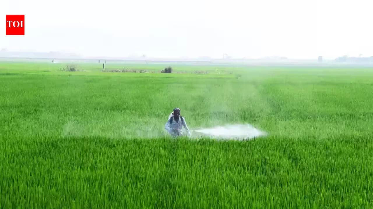 Telangana Rainfall Deficit: Farmers Face Crop Losses as Assembly Takes Up El Niño Impact